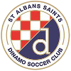 St Albans Saints logo