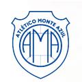 Monte Azul SP (Youth) logo