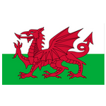 Wales U16 logo