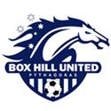 Box Hill United SC logo