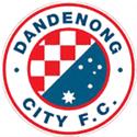 Dandenong City U21 logo