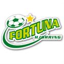 Fortuna Hjorring B (W) logo
