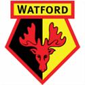 Watford U21 logo