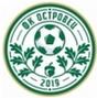 FC Ostrovets logo