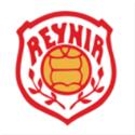 Reynir Sandgerdi logo