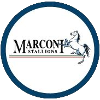 Marconi Stallions U20 logo