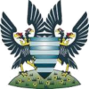 Salisbury FC logo