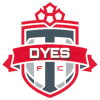 DYES logo