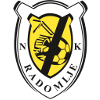 NK Radomlje U19 logo
