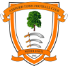 Ashford Town logo