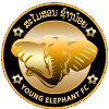 Young Elephants FC logo