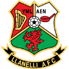 Llanelli logo