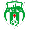 NK BUJE logo
