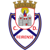 Feirense U19 logo