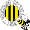 Bronshoj logo
