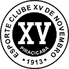 XV de Piracicaba (Youth) logo