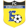 Bobruichanka Bobruisk (W) logo