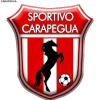 Deportivo Carapegua logo