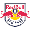 New York Red Bulls B logo