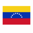 Venezuela U21 logo