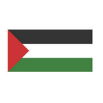Palestine U19 logo