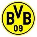 Borussia Dortmund (Youth) logo