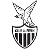 Atletico Fenix Reserves logo