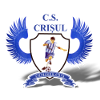 Crisul Chisineu Cris logo