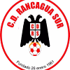 CD Rancagua Sur logo