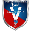 CSM Ramnicu Valcea logo