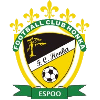 Honka Espoo (W) logo