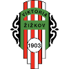 Viktoria Zizkov logo