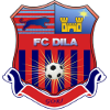 Dila Gori logo