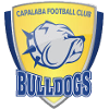 Capalaba Bulldogs logo